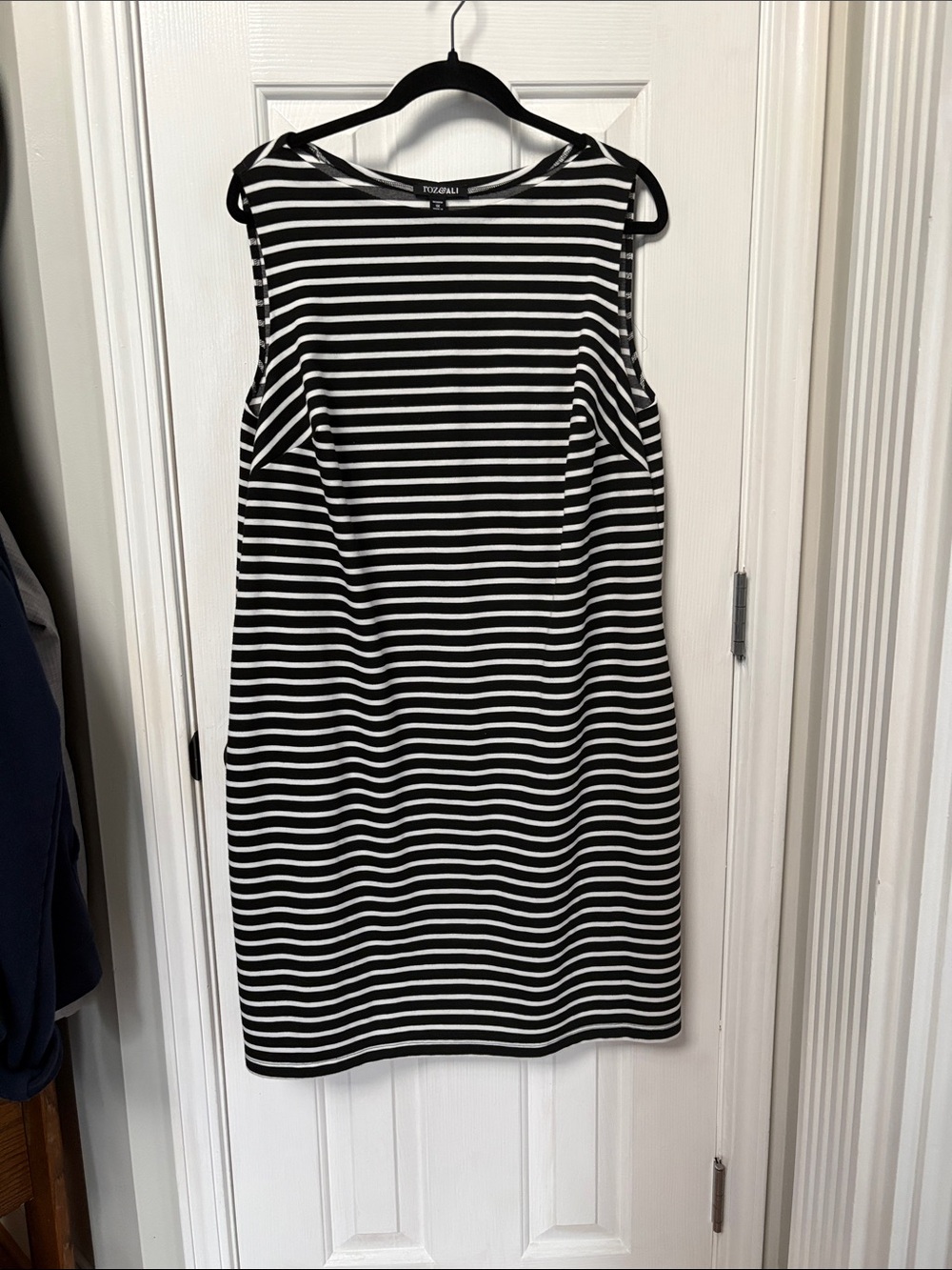 Roz & Ali Black and White Striped Sleeveless Shift Dress